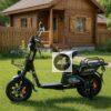 Электровелосипед Winbox w-33-1 max